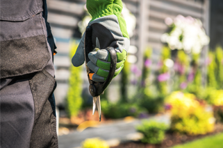 Gartenpflege Lübecker Bucht