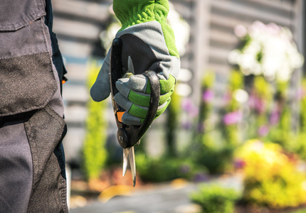 Objektbetreuung und Gartenservice Tim Lehmkuhl